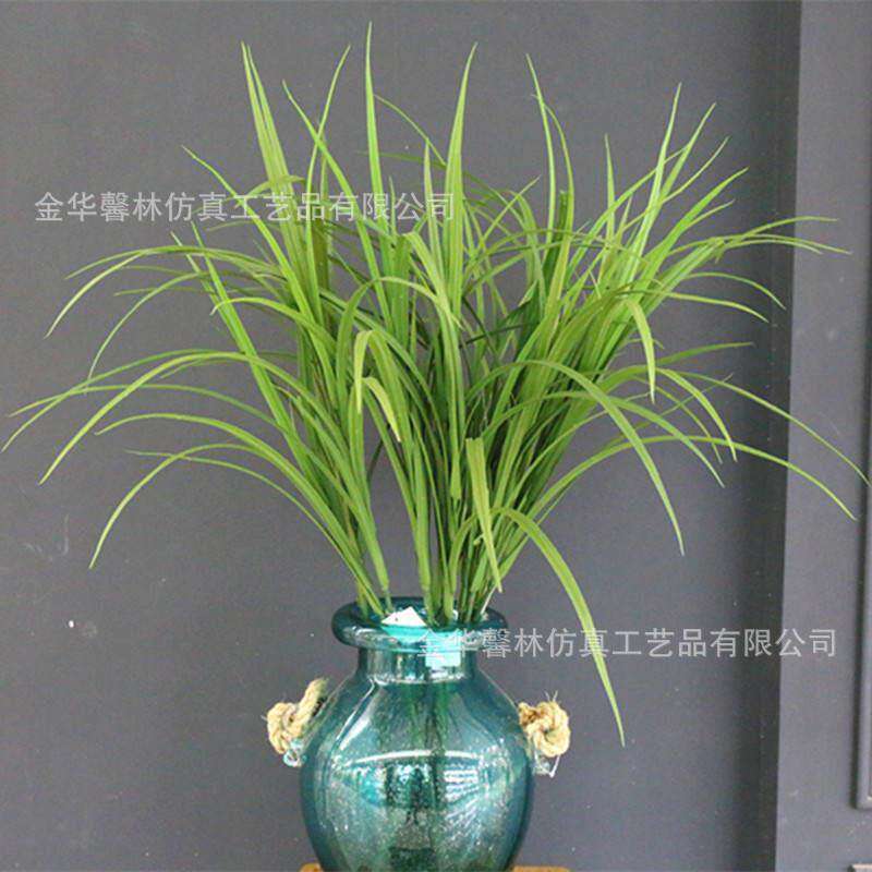 精品芦苇草河葱草仿真高枝草橱窗绿景装饰路边草长青草杂草超逼真