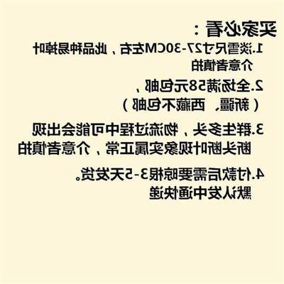 日本稀有精品多肉植物造型老桩淡雪幽灵公主悬崖桩巨型特大盆多肉