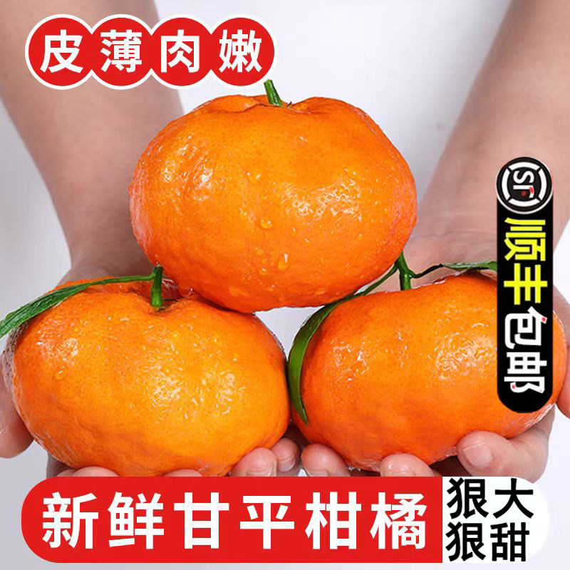 {顺丰快递}四川眉山正宗甘平柑橘皇后孕妇应季新鲜水果小金牛桔子,水产肉类/新鲜蔬果/熟食,桔子,淘宝优惠券,粉丝福利购,淘宝优惠卷