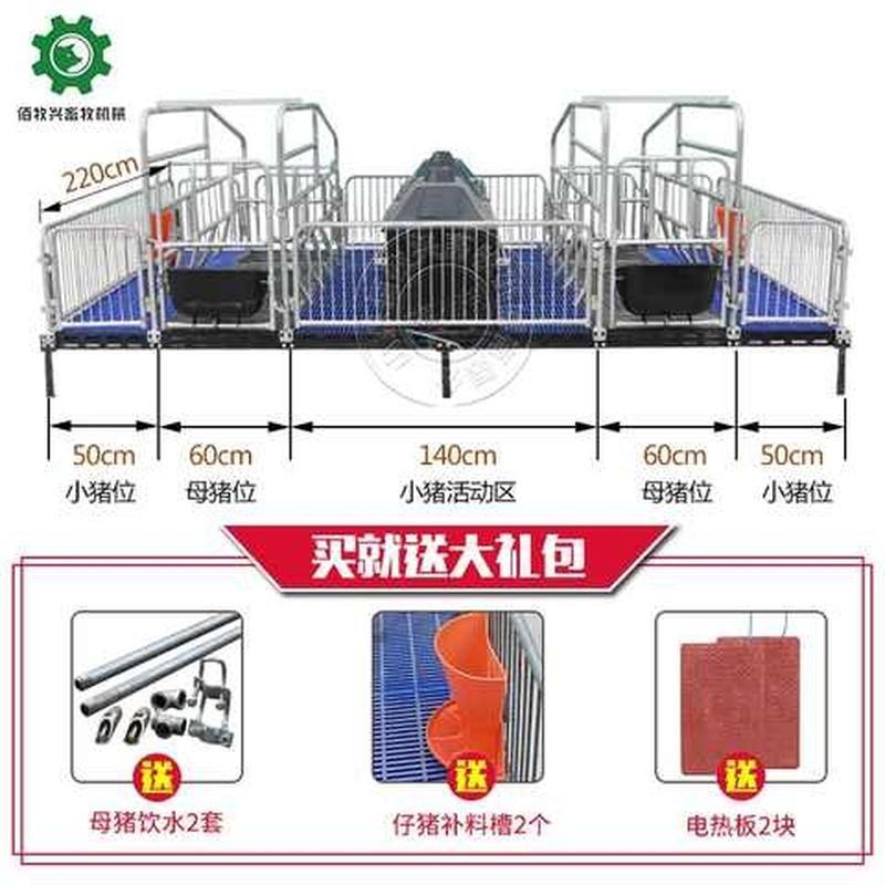 母猪产床国标2.0热镀锌管pvc隔板设计欧式双体猪用分娩床养殖设备