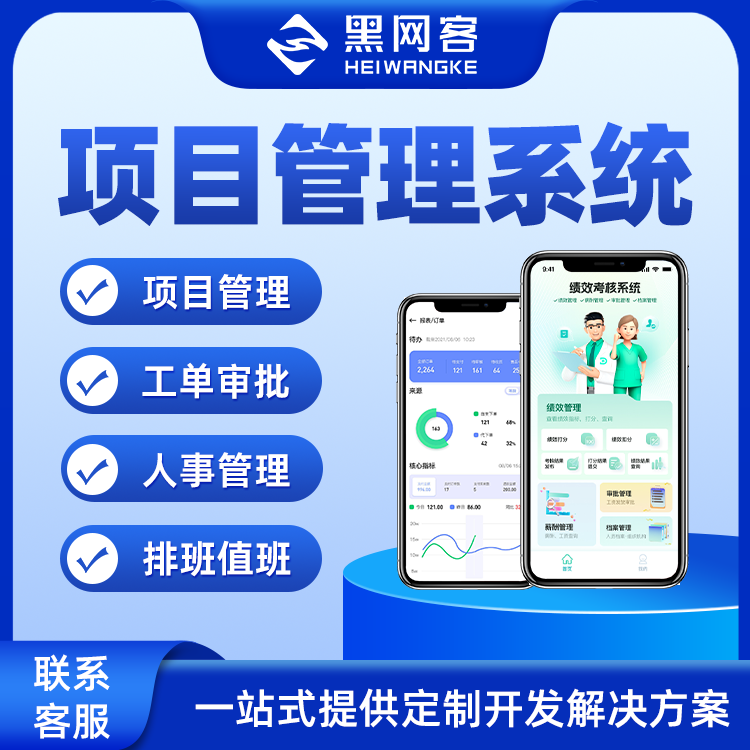 项目管理系统定制开发