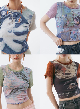 Sixthdimension 亚文化手绘图网纱针织袖短款T恤