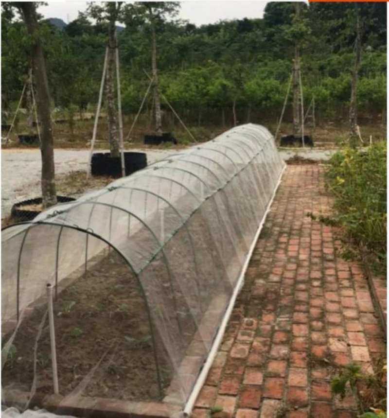 简易棚中小型蔬菜大棚温室大棚花卉种植全套加粗农用连体棚花亭