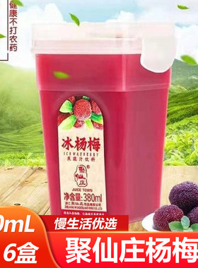 聚仙庄杨梅汁网红饮品380ml*6盒