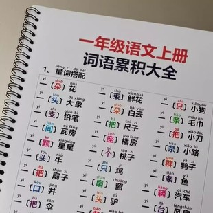 一年级语文词语累积小学生玩具挂图认知卡识字卡片训练拼读拼音