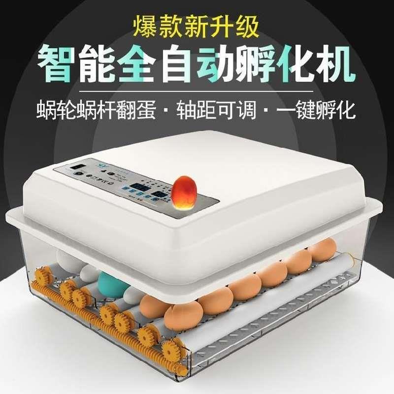 鸡鸭孵化器大型孵鸟蛋器抱小鸡机器小鸡鹅蛋鸽子便携式保温箱水床