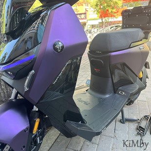 KiMby九号猎户座Dz110P二代MK2脚踏,双人款一体式平面宽脚踏板