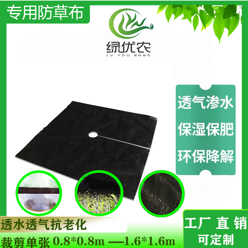 防草布果园保湿透气渗水