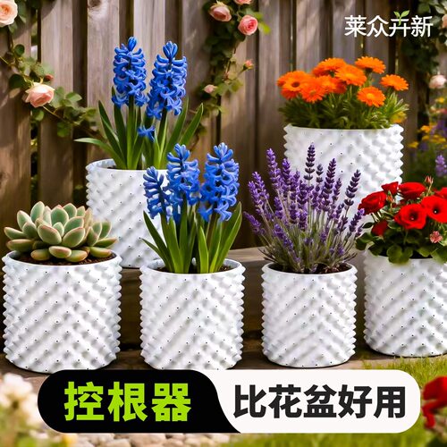 白色控根器围树板疏水排水板控根养根围栏优质围板多栽培培土移苗