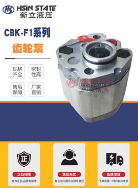 齿轮泵CBK-F179/F130/F116/F140/F148/F153/F158/F125/F110/F132