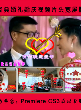 P169 紫雨烟云-天缘|新婚庆典婚礼前戏VCR花絮视频片头 PR模板