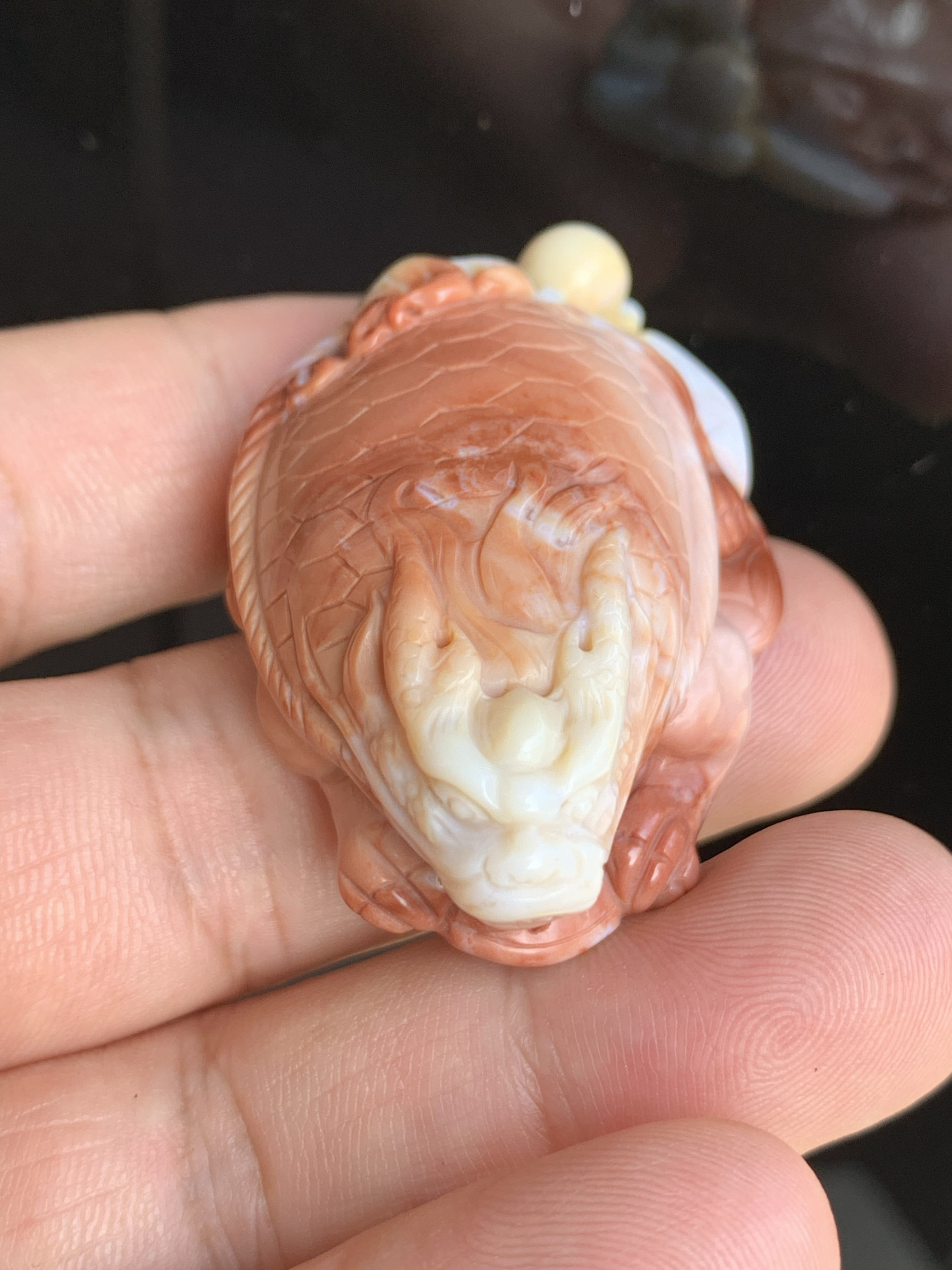 天然阿拉善彩玉男女同款龙龟吊坠