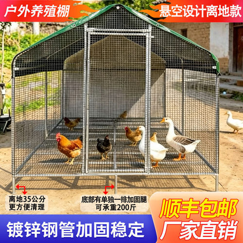 离地网床鸡棚养鸡搭建孔雀户外防雨鸡笼大型家禽鸡舍家用养殖鸽笼
