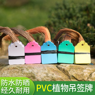 塑料实验小挂牌绿植花卉标签防水吊牌园艺苗木吊牌兰花植物标签
