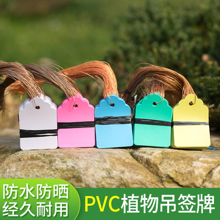 塑料实验小挂牌绿植花卉标签防水吊牌园艺苗木吊牌兰花植物标签