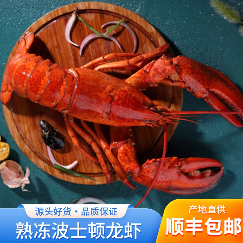 加拿大进口波士顿大龙虾熟冻小龙虾麻辣香辣新鲜鲜活冷冻海鲜批发
