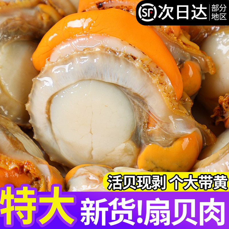 扇贝肉新鲜鲜活超大号带黄冷冻特大蒜蓉粉丝扇贝海鲜水产商用批发