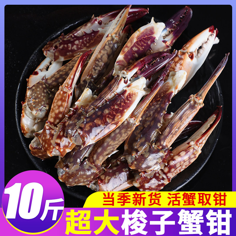 新鲜梭子蟹钳生腌原料大号生鲜螃蟹腿沙蟹脚飞蟹商用冷冻水产海鲜,水产肉类/新鲜蔬果/熟食,蟹类制品,淘宝优惠券,粉丝福利购,淘宝优惠卷