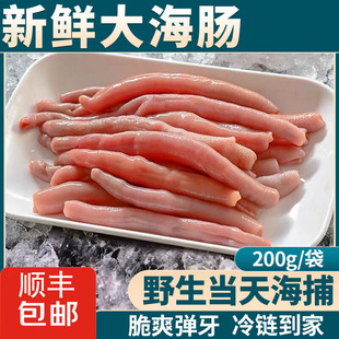 海肠新鲜速冻沙虫海捕去内脏免处理海肠皮子海肠捞饭海鲜冷冻水产