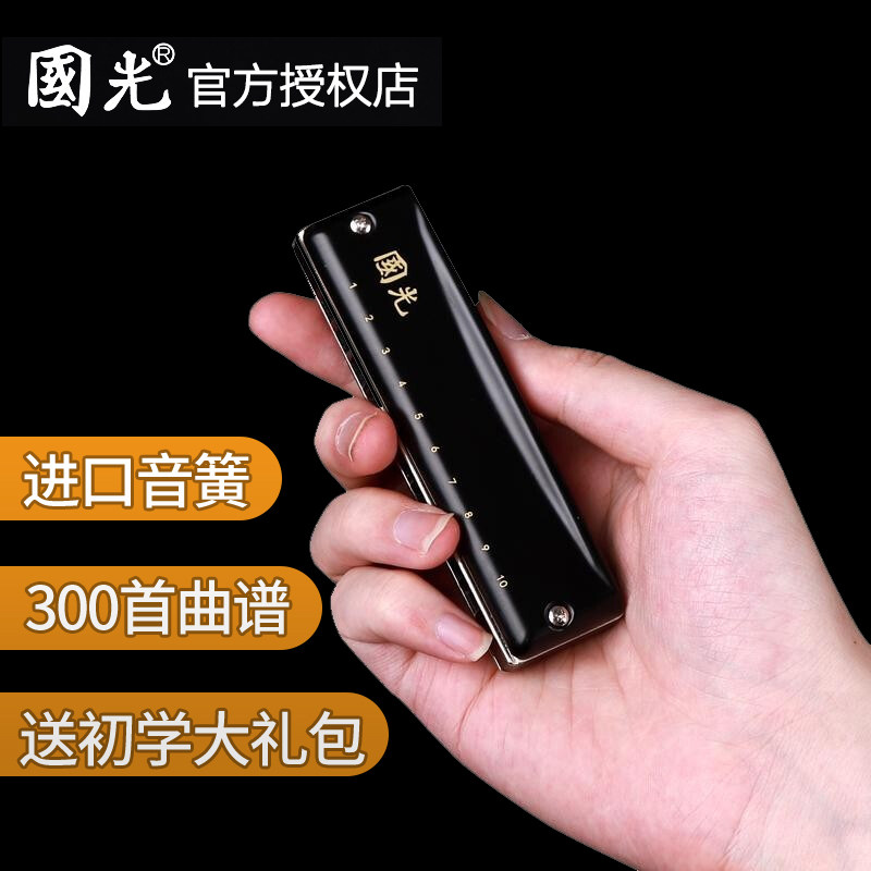 国光正品10孔布鲁斯口琴成人专业演奏级学生初学者入门十孔乐器