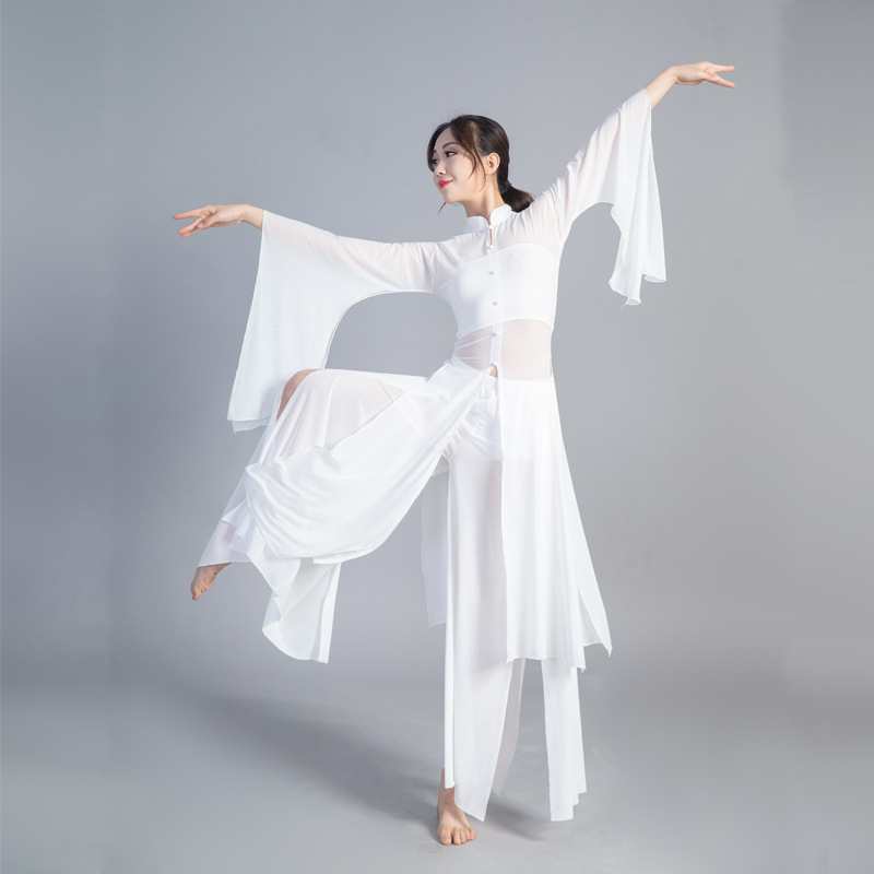 日本无印MUJIE古典舞蹈服古风汉唐大袖身韵纱衣飘逸广袖演出服中