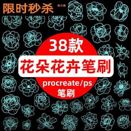 procreate笔刷手绘线稿牡丹花花卉鲜花朵图案插画ps笔刷画笔素材