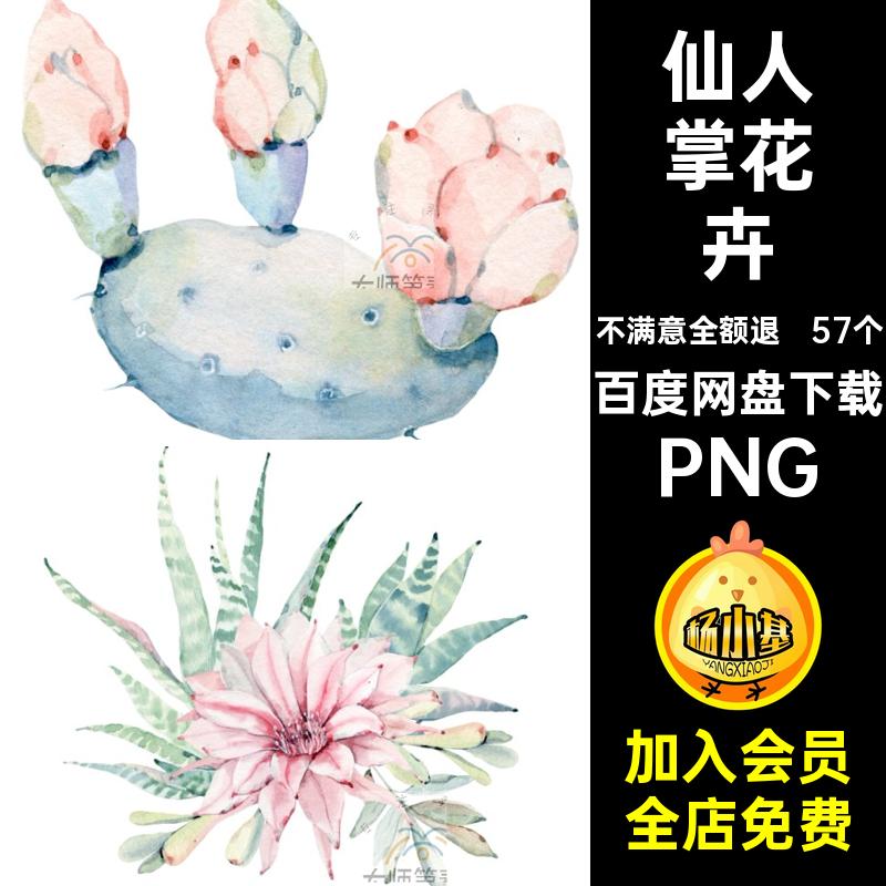 森系小清新水彩手绘绿植盆栽多肉植物仙人掌花卉PNG透明免抠素材