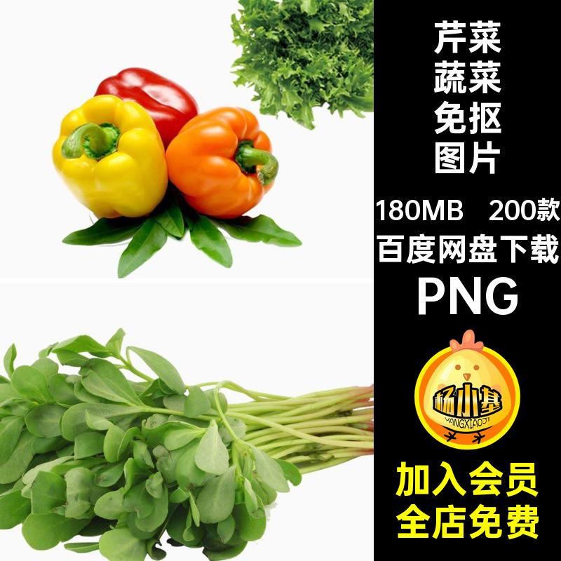 200款马铃薯蔬菜免抠图片西红芹菜洋葱萝卜胡萝卜青菜辣西红柿