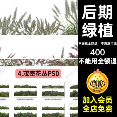 茂密花丛psd素材绿植草丛高清PS景观素材组团写实三维草素材配景
