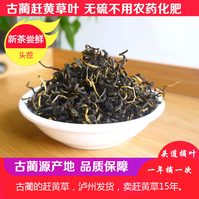 【品质超值】蔺花新嫩优正品野生古蔺赶黄草叶500g赶黄草纯叶优质