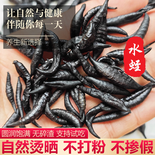 正宗中药材干水蛭干吸血蚂蟥粉