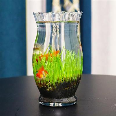 花盆鱼缸一体水培器皿玻璃圆形透明创意鱼缸植物容器简约桌面摆件