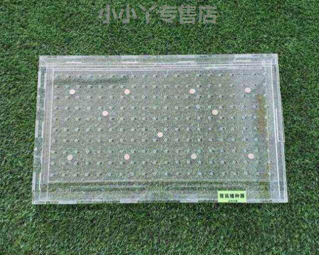 大白菜点籽娃娃菜育苗育苗神器橄榄西兰花漂盘手动穴盘点播辣椒