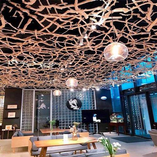 干树枝 树干装饰 白色树枝天然去皮树枝北欧简约挂件造型壁挂原木