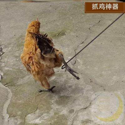 抓鸡神器养殖场菜市场铁抓单器鸭家禽手持式配件金属简公方便舍捉