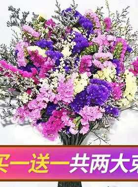 云南干花花束勿忘我满天星客厅插花家居摆设大束真花生日礼物