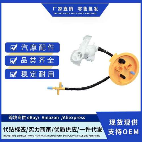 16117260648汽车燃油泵总成适用于马BMW 5 Series F07 F10