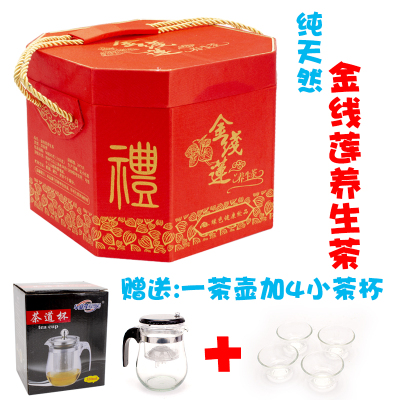 养生茶杯金线莲敖夜祛火