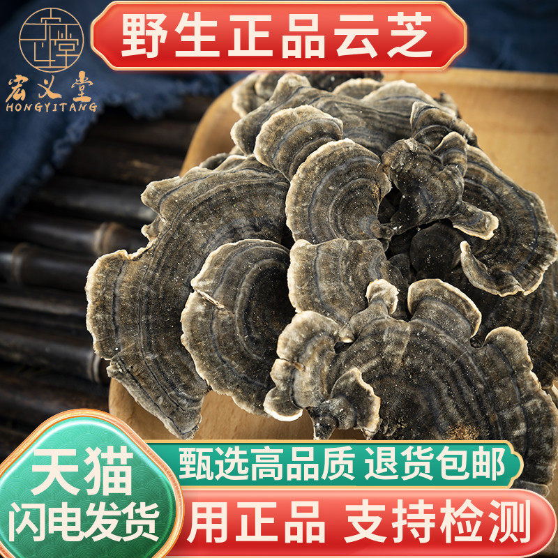 云芝中药材新货包邮 正宗天然正品无硫云芝蘑可磨云芝粉500克