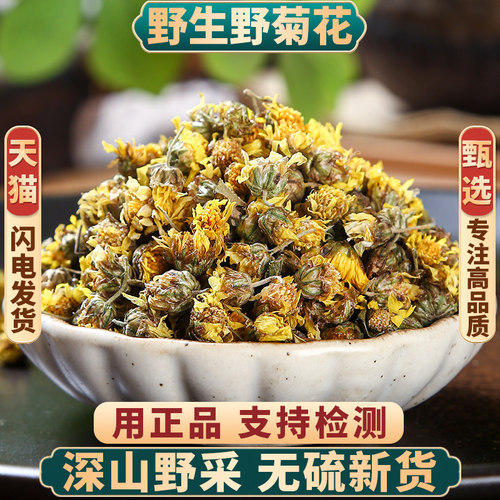 野生正品新货野菊花中药材无硫