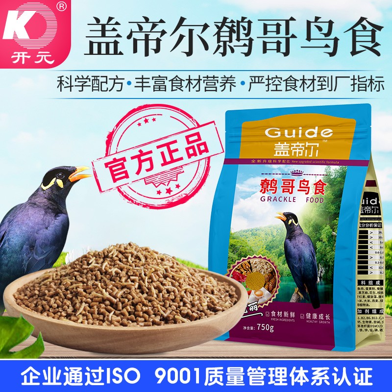 盖帝尔开鹩哥元鸟食肥膘亮羽黑鹩鸟八哥昆虫鱼肉蚕蛹科学配比750g
