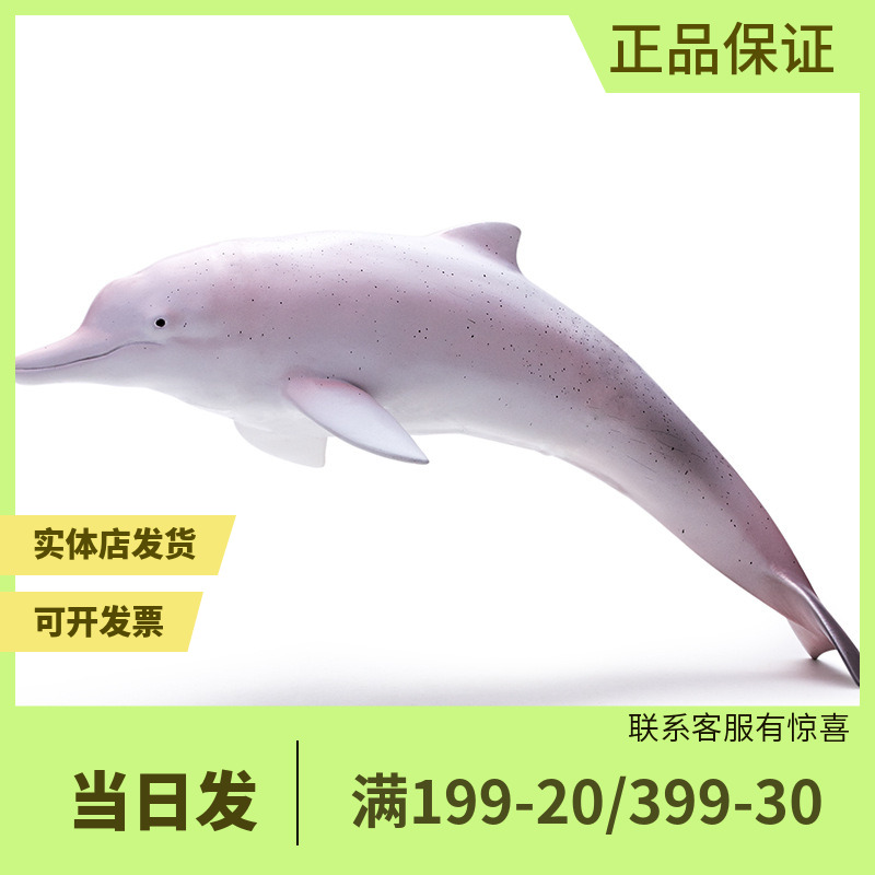 RECUR软胶仿真动物模型