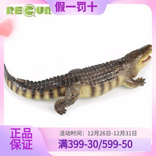 RECUR重现 仿真大鳄鱼玩具儿童软胶野外动物模型短吻鳄摆件塑胶软