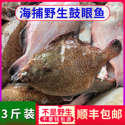 连云港海捕新鲜鼓眼鱼高眼鱼