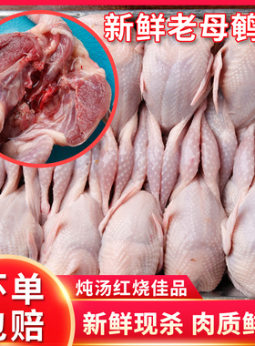大号母鹌鹑新鲜鹌鹑肉速冻白条鹌鹑烧烤油炸生骨肉现杀20只包邮