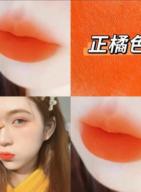 正橘色胡萝卜色哑光口红唇泥橘黄血橙色烂番茄脏橘色持久哑光可用