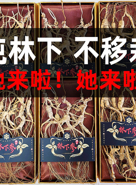 林下参高年龄人参长白山非野山参礼盒林下参干人参泡酒专用中药材