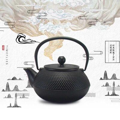 Iron Tea Pot with Stainless Steel Infuser Cast Iron Teapot