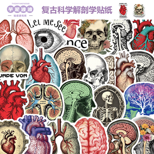 50张复古科学解剖学贴纸个性装饰吉他笔记本行李箱DIY防水贴画