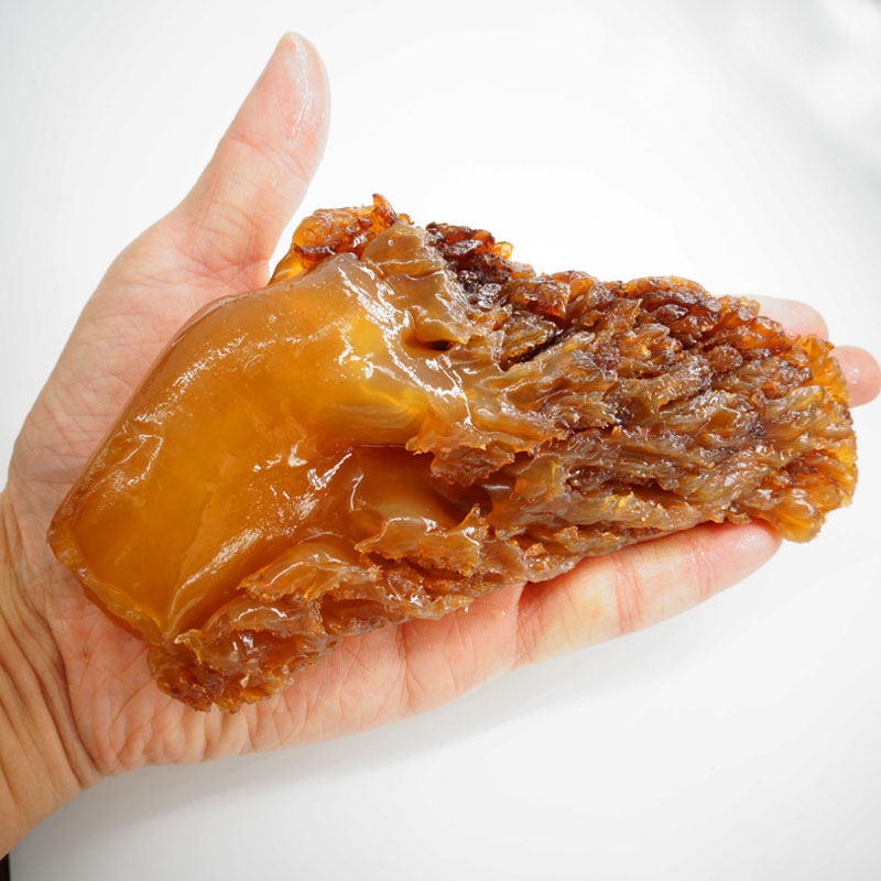 温州海蜇头特野级生3斤5斤装非即食盐渍凉拌海蜇丝包邮棉蜇桶装